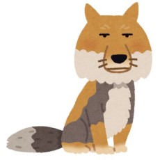 Gingitsune Ezo